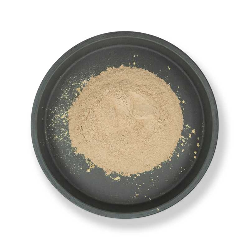 Aloe vera, polvo, BIO, 50 g