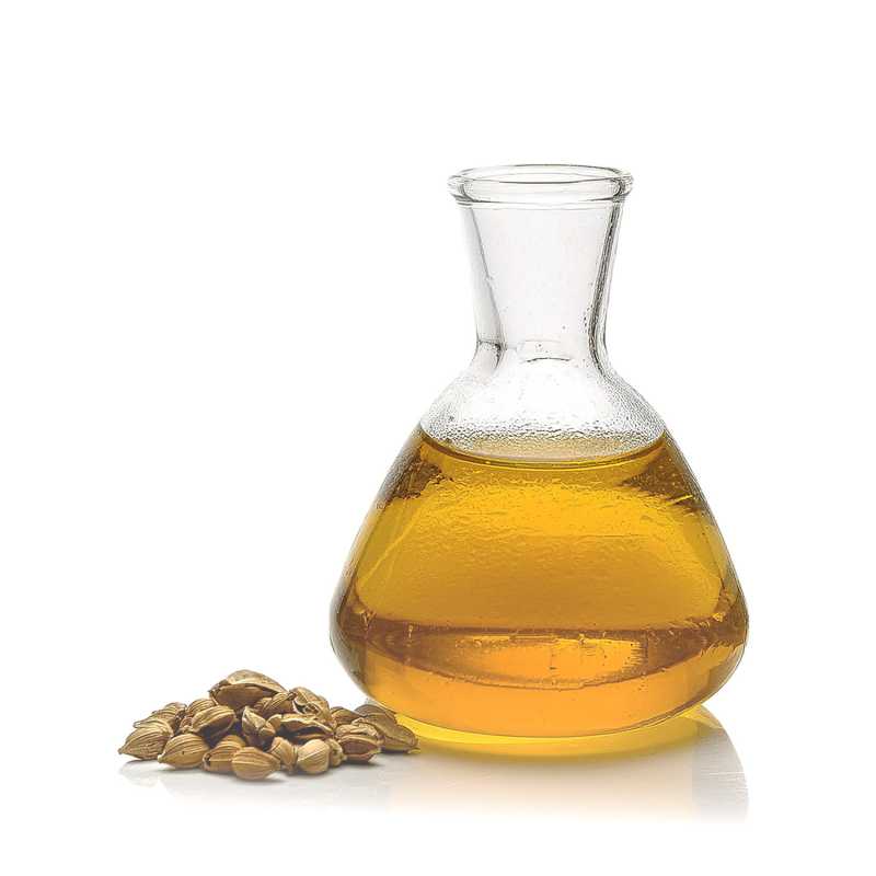 Aceite de argán orgánico, filtrado con carbón, prensado en frío, 100 ml