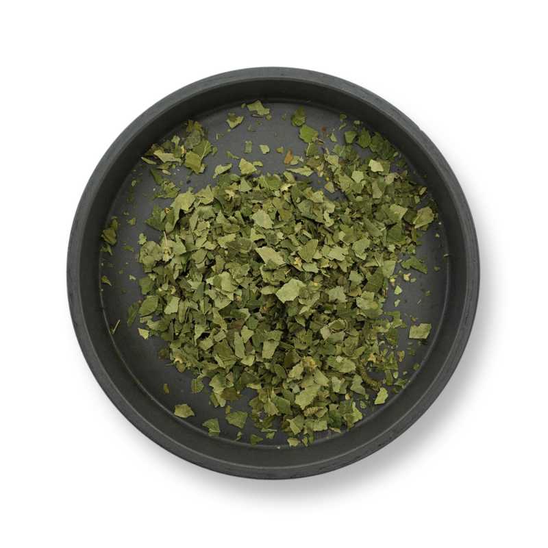 Planta seca, abedul plateado, hoja, 50 g