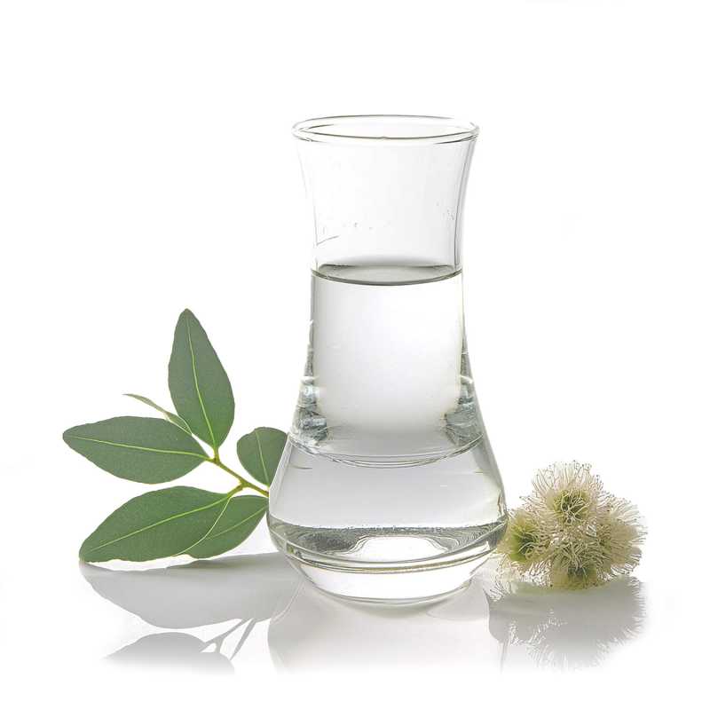 Aceite esencial, Eucalyptus Smithii, 100 ml
