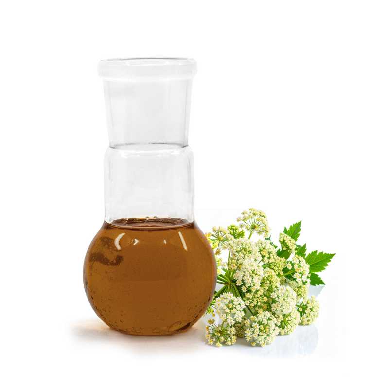 Aceite esencial, valeriana, 10 ml
