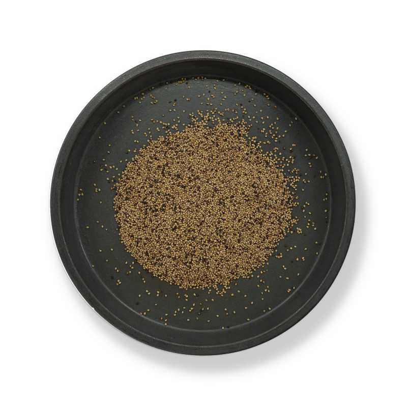 Semillas de fresa, 200 g