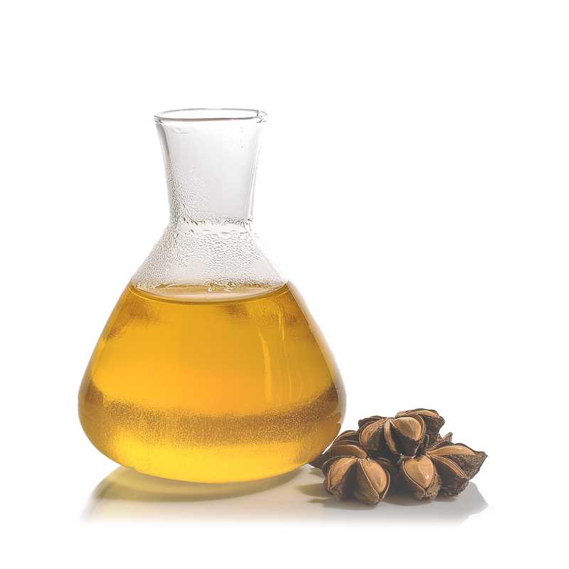 Aceite, Sacha Inchi, BIO, 100 ml
