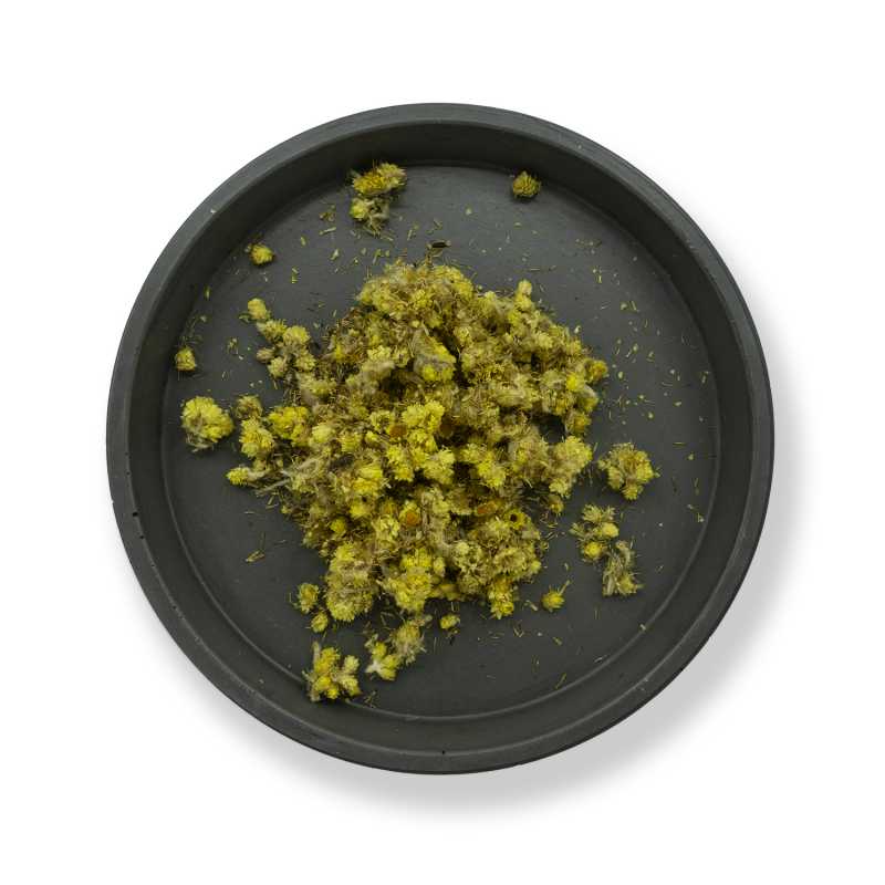 Inmortal de arena, flor seca, 50 g